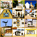 Bilder des Tages - 14.06.2025 - Blumenfeld