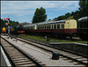 railway coaches at Buckfastleigh