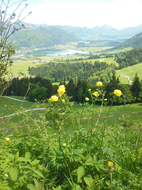 Blick ins Tal