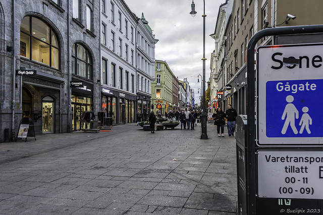 in der Karl Johans gate (© Buelipix)