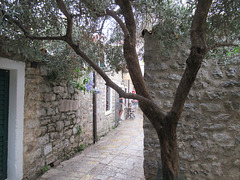 Budva Old Town