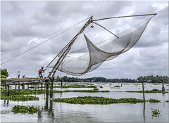 Kerala Fishing Net