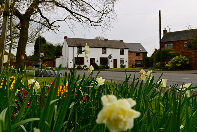 Haughton, Staffordshire