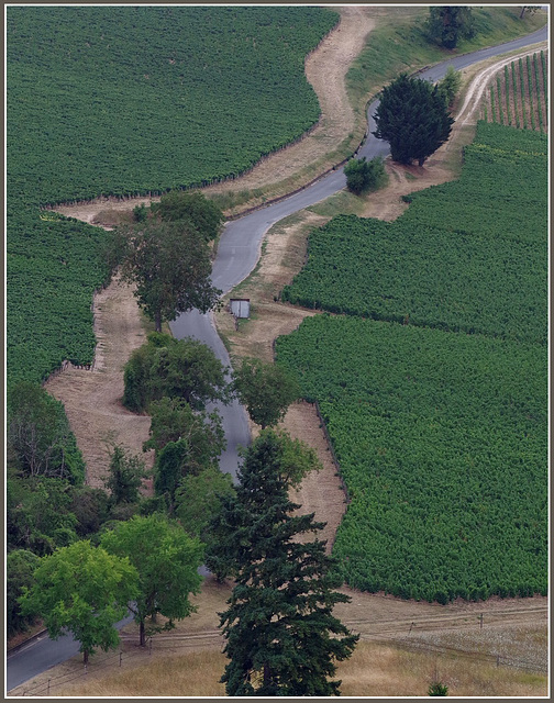 .... dans le sancerrois...!