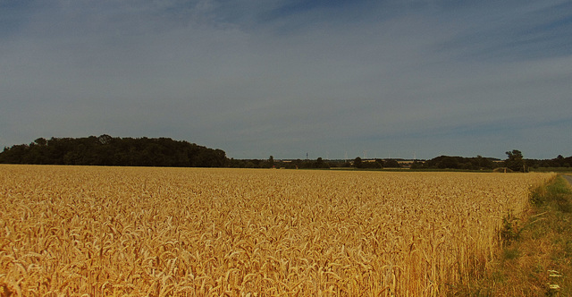 DSC02257