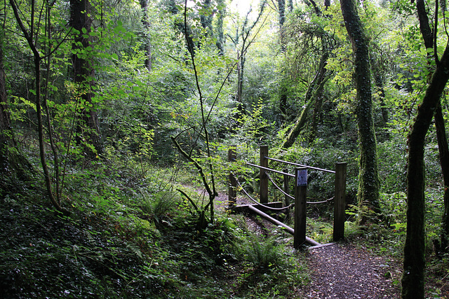 Curious footbridge