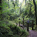 Curious footbridge