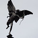 Winged statue 5