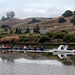 The Petaluma River