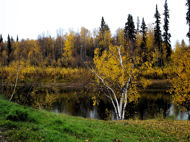 Chena River