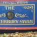 Canterbury Swan
