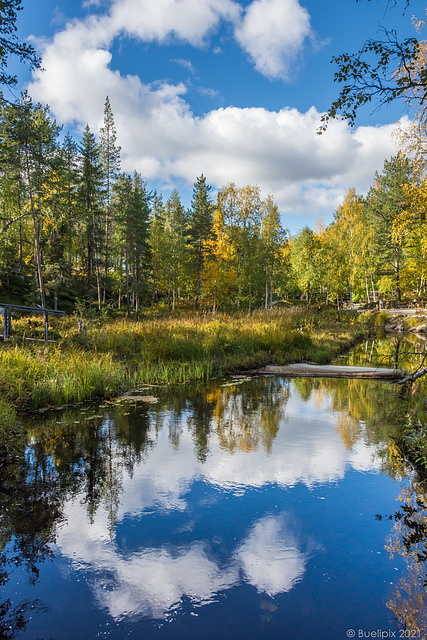 am Talvatissjörn bei Jokkmokk(© Buelipix)