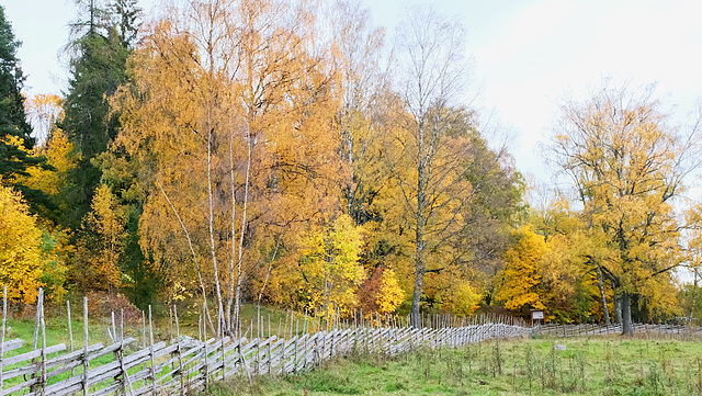 Holzzaun für Weiden.  HFF!