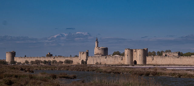 Camargue - France