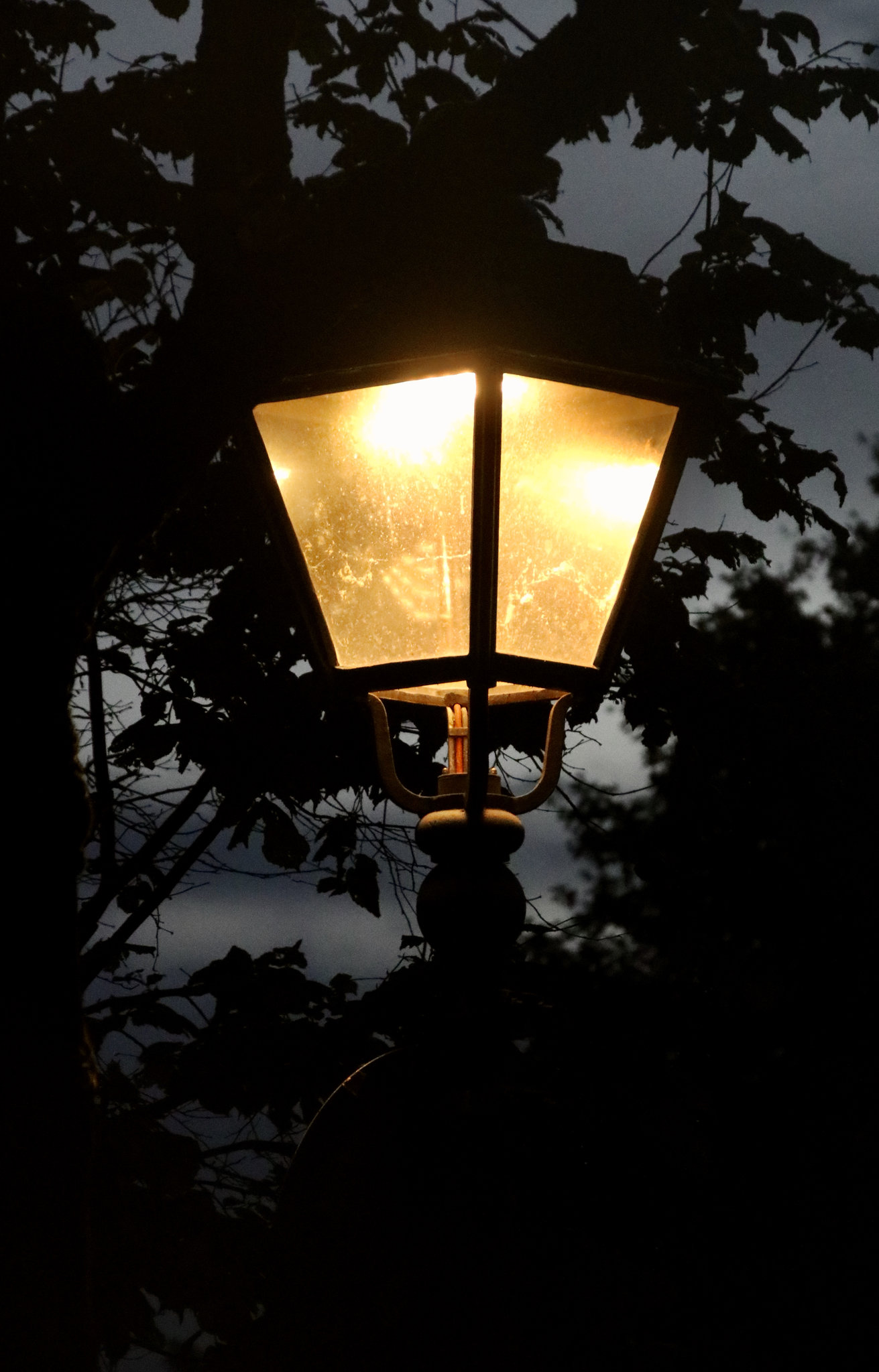 Licht