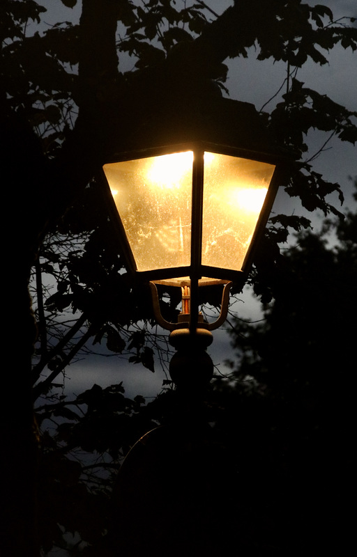 Licht