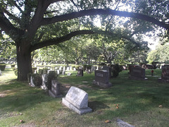 Greenlawn cemetery