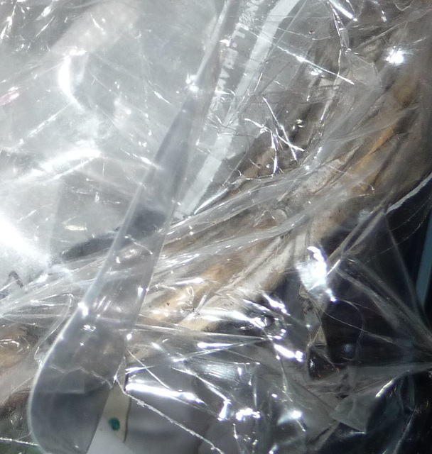 Zerknitterte Plastikfolie . Gelöst von Ghislaine