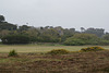 Approaching Tresco Abbey Gardens