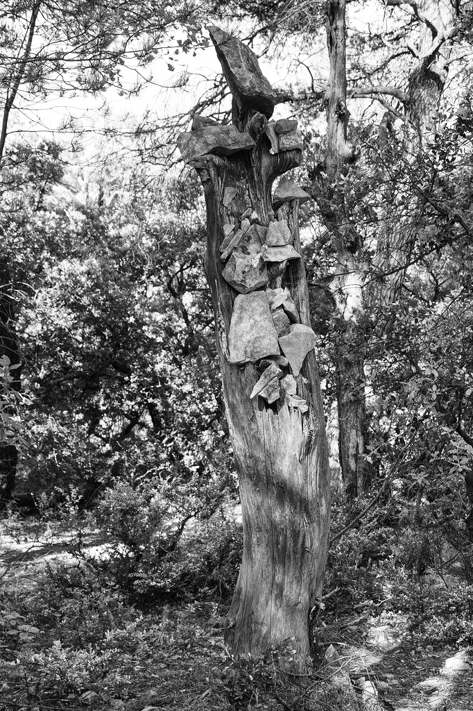 Cairn bois et pierre.