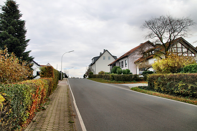 Barmer Straße (Sprockhövel-Herzkamp) / 6.11.2022