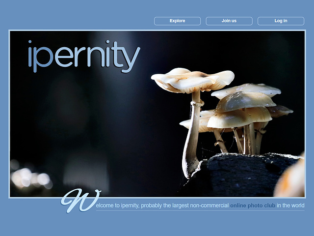 ipernity homepage with #1636