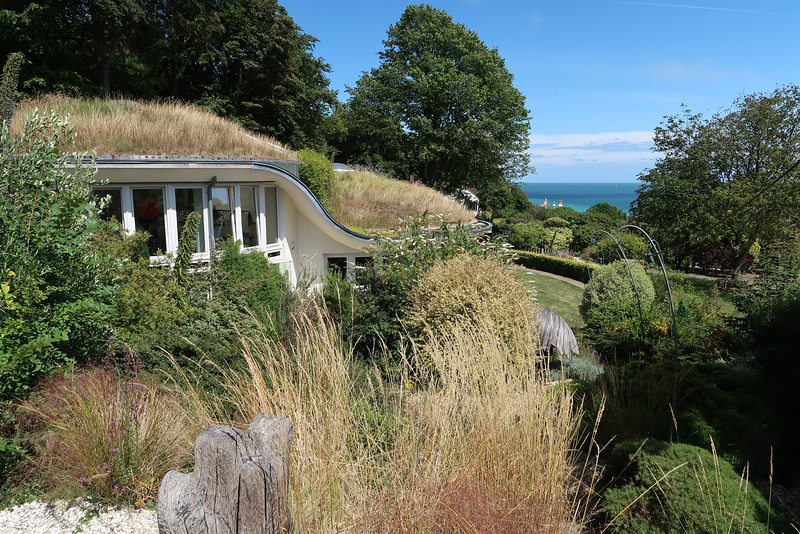 Green roof and sea view