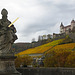 Farbenzauber in den Weinbergen - Magic colours in the vineyards