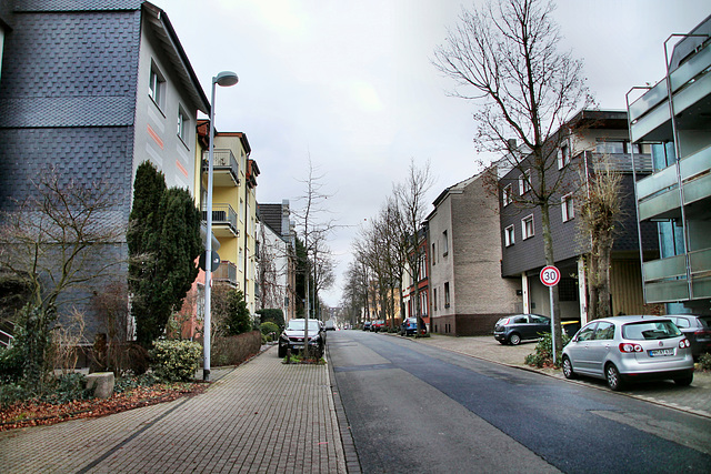 Dohne (Mülheim an der Ruhr) / 18.01.2021