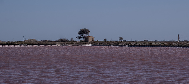 Camargue - les Salins du Midi