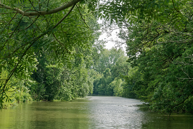 La Sèvre Niortaise