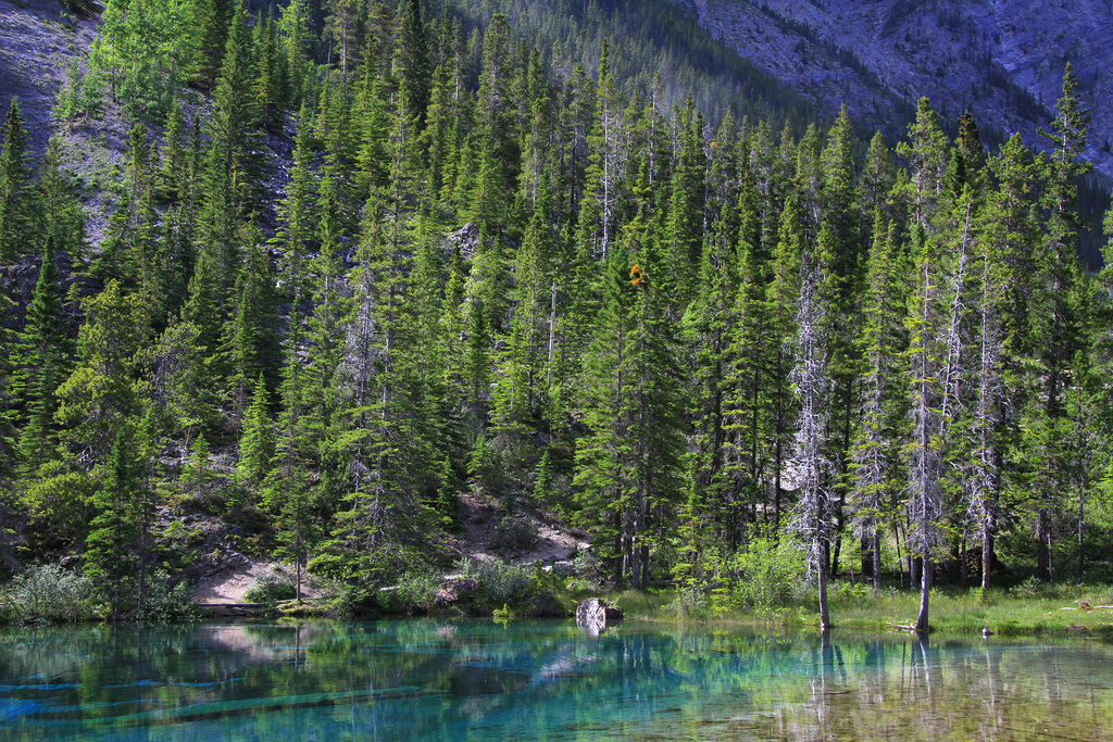 Lower Grassi Lake