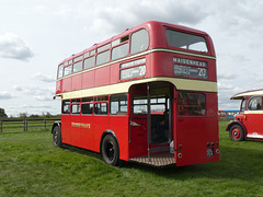 On display at Showbus 50 - 25 Sep 2022 (P1130486)