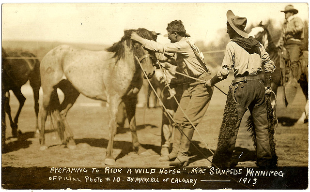 WP1898 WPG - STAMPEDE (PREPARING WILD HORSE)