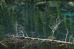 Upper Grassi Lake