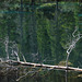 Upper Grassi Lake