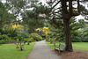 Tresco Abbey Gardens