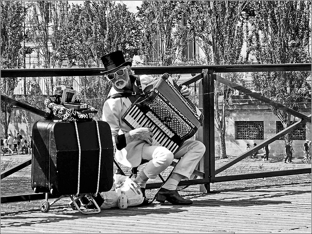 L'accordéoniste