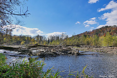 An der Wutach