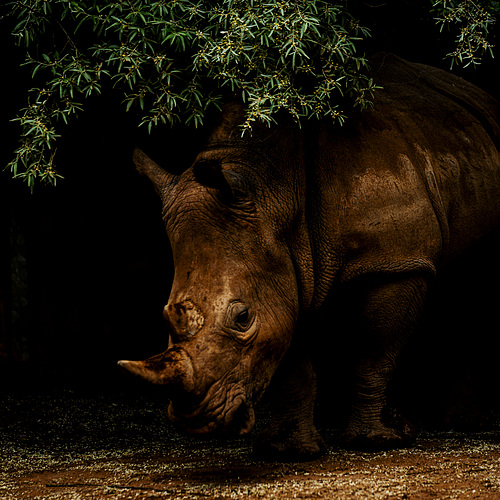20240530_zoopark erfurt (d800)