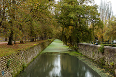 Château de Chenonceau