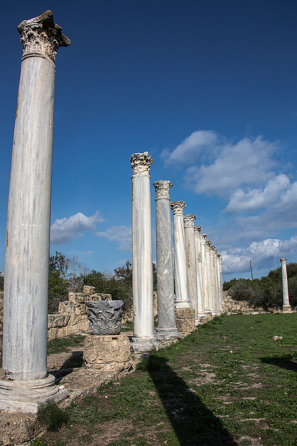 20141130 5789VRAw [CY] Salamis, Famagusta, Nordzypern