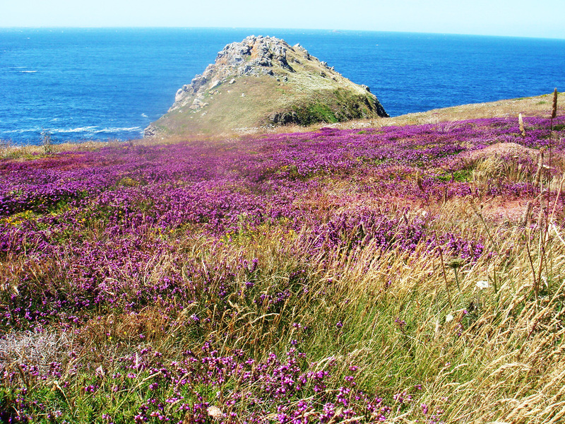 39-La lande autour de la chapelle