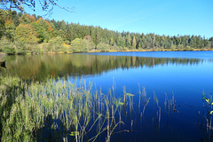 Le Lac de Laspialade en Auvergne