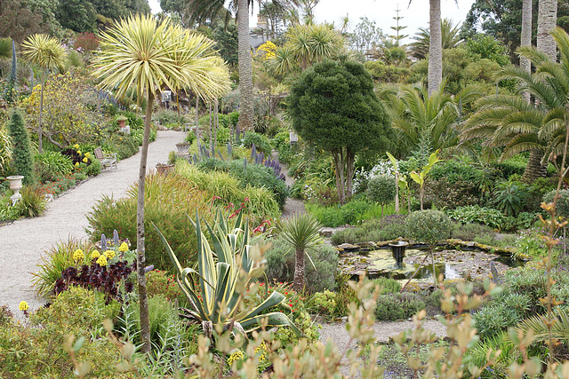 Tresco Abbey Gardens