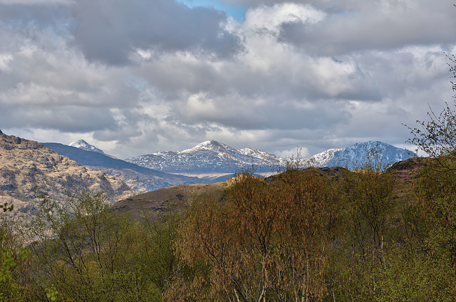 A view towards the Arrochar Alps