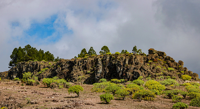 Wandern auf La Gomera