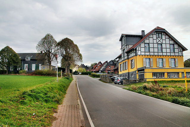 Barmer Straße (Sprockhövel-Herzkamp) / 6.11.2022