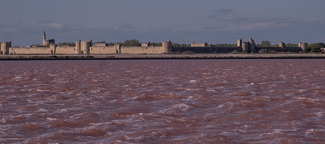 Camargue - les Salins du Midi