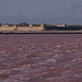 Camargue - les Salins du Midi